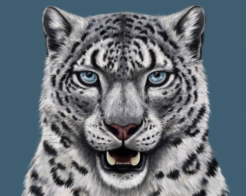 SNOWLEOPARD