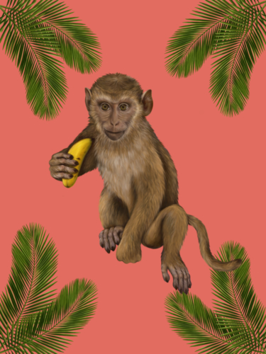 Monkey